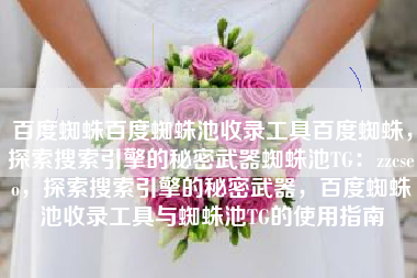 百度蜘蛛百度蜘蛛池收录工具百度蜘蛛，探索搜索引擎的秘密武器蜘蛛池TG：zzcseo，探索搜索引擎的秘密武器，百度蜘蛛池收录工具与蜘蛛池TG的使用指南