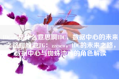 IDCidc是什么意思啊IDC，数据中心的未来之路蜘蛛池TG：zzcseo，IDC的未来之路，数据中心与蜘蛛池TG的角色解读