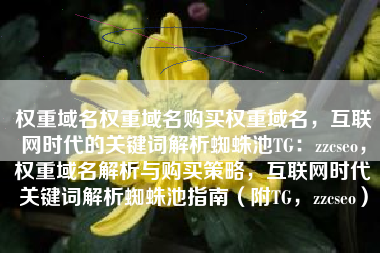 权重域名权重域名购买权重域名，互联网时代的关键词解析蜘蛛池TG：zzcseo，权重域名解析与购买策略，互联网时代关键词解析蜘蛛池指南（附TG，zzcseo）