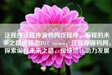 泛程序泛程序源码网泛程序，编程的未来之路蜘蛛池TG：zzcseo，泛程序源码网，探索编程未来之路，蜘蛛池TG助力发展