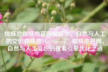 蜘蛛池蜘蛛池官网蜘蛛池，自然与人工的交织蜘蛛池TG：zzcseo，蜘蛛池官网，自然与人工交织的搜索引擎优化之道