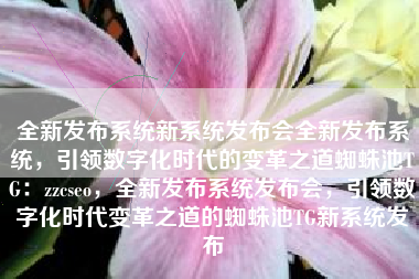 全新发布系统新系统发布会全新发布系统，引领数字化时代的变革之道蜘蛛池TG：zzcseo，全新发布系统发布会，引领数字化时代变革之道的蜘蛛池TG新系统发布