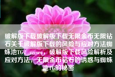 破解版下载破解版下载无限金币无限钻石关于破解版下载的风险与应对方法蜘蛛池TG：zzcseo，破解版下载风险解析及应对方法，无限金币钻石的诱惑与蜘蛛池TG的秘密