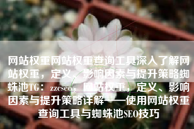 网站权重网站权重查询工具深入了解网站权重，定义、影响因素与提升策略蜘蛛池TG：zzcseo，网站权重，定义、影响因素与提升策略详解——使用网站权重查询工具与蜘蛛池SEO技巧