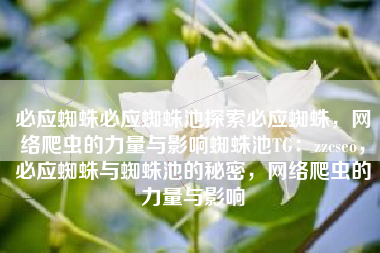 必应蜘蛛必应蜘蛛池探索必应蜘蛛，网络爬虫的力量与影响蜘蛛池TG：zzcseo，必应蜘蛛与蜘蛛池的秘密，网络爬虫的力量与影响