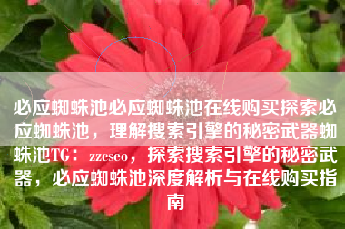 必应蜘蛛池必应蜘蛛池在线购买探索必应蜘蛛池，理解搜索引擎的秘密武器蜘蛛池TG：zzcseo，探索搜索引擎的秘密武器，必应蜘蛛池深度解析与在线购买指南