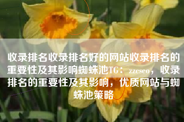 收录排名收录排名好的网站收录排名的重要性及其影响蜘蛛池TG：zzcseo，收录排名的重要性及其影响，优质网站与蜘蛛池策略