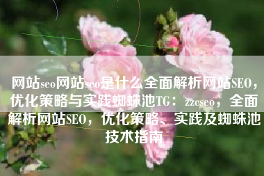 网站seo网站seo是什么全面解析网站SEO，优化策略与实践蜘蛛池TG：zzcseo，全面解析网站SEO，优化策略、实践及蜘蛛池技术指南