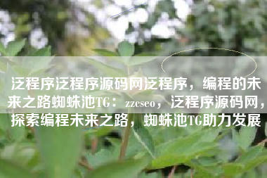泛程序泛程序源码网泛程序，编程的未来之路蜘蛛池TG：zzcseo，泛程序源码网，探索编程未来之路，蜘蛛池TG助力发展