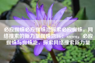 必应蜘蛛必应蜘蛛池探索必应蜘蛛，网络搜索的新力量蜘蛛池TG：zzcseo，必应蜘蛛与蜘蛛池，探索网络搜索新力量
