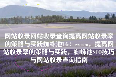 网站收录网站收录查询提高网站收录率的策略与实践蜘蛛池TG：zzcseo，提高网站收录率的策略与实践，蜘蛛池SEO技巧与网站收录查询指南