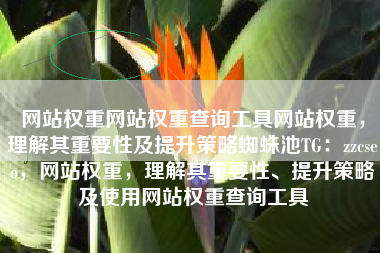 网站权重网站权重查询工具网站权重，理解其重要性及提升策略蜘蛛池TG：zzcseo，网站权重，理解其重要性、提升策略及使用网站权重查询工具
