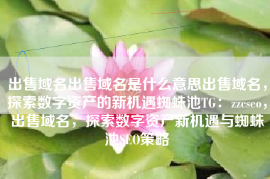 出售域名出售域名是什么意思出售域名，探索数字资产的新机遇蜘蛛池TG：zzcseo，出售域名，探索数字资产新机遇与蜘蛛池SEO策略