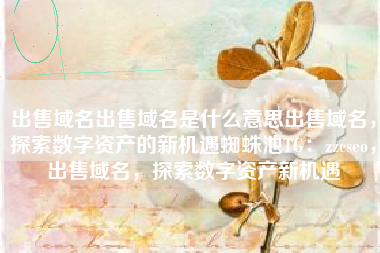 出售域名出售域名是什么意思出售域名，探索数字资产的新机遇蜘蛛池TG：zzcseo，出售域名，探索数字资产新机遇