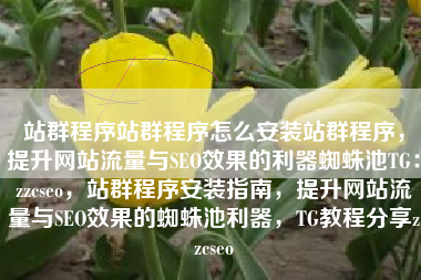 站群程序站群程序怎么安装站群程序，提升网站流量与SEO效果的利器蜘蛛池TG：zzcseo，站群程序安装指南，提升网站流量与SEO效果的蜘蛛池利器，TG教程分享zzcseo