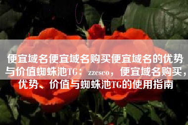 便宜域名便宜域名购买便宜域名的优势与价值蜘蛛池TG：zzcseo，便宜域名购买，优势、价值与蜘蛛池TG的使用指南