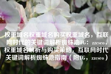 权重域名权重域名购买权重域名，互联网时代的关键词解析蜘蛛池TG：zzcseo，权重域名解析与购买策略，互联网时代关键词解析蜘蛛池指南（附TG，zzcseo）