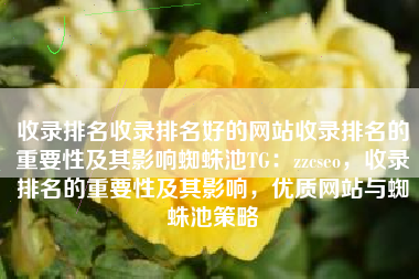 收录排名收录排名好的网站收录排名的重要性及其影响蜘蛛池TG：zzcseo，收录排名的重要性及其影响，优质网站与蜘蛛池策略