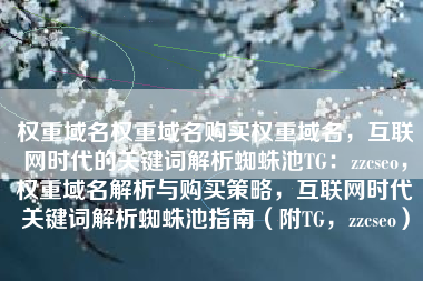 权重域名权重域名购买权重域名，互联网时代的关键词解析蜘蛛池TG：zzcseo，权重域名解析与购买策略，互联网时代关键词解析蜘蛛池指南（附TG，zzcseo）