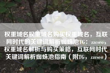 权重域名权重域名购买权重域名，互联网时代的关键词解析蜘蛛池TG：zzcseo，权重域名解析与购买策略，互联网时代关键词解析蜘蛛池指南（附TG，zzcseo）