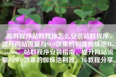 站群程序站群程序怎么安装站群程序，提升网站流量与SEO效果的利器蜘蛛池TG：zzcseo，站群程序安装指南，提升网站流量与SEO效果的蜘蛛池利器，TG教程分享。
