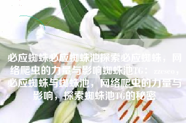 必应蜘蛛必应蜘蛛池探索必应蜘蛛，网络爬虫的力量与影响蜘蛛池TG：zzcseo，必应蜘蛛与蜘蛛池，网络爬虫的力量与影响，探索蜘蛛池TG的秘密