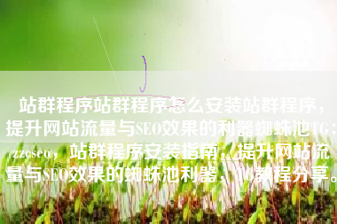 站群程序站群程序怎么安装站群程序，提升网站流量与SEO效果的利器蜘蛛池TG：zzcseo，站群程序安装指南，提升网站流量与SEO效果的蜘蛛池利器，TG教程分享。