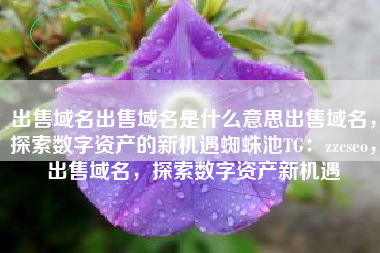 出售域名出售域名是什么意思出售域名，探索数字资产的新机遇蜘蛛池TG：zzcseo，出售域名，探索数字资产新机遇