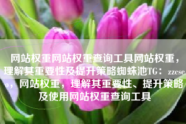 网站权重网站权重查询工具网站权重，理解其重要性及提升策略蜘蛛池TG：zzcseo，网站权重，理解其重要性、提升策略及使用网站权重查询工具
