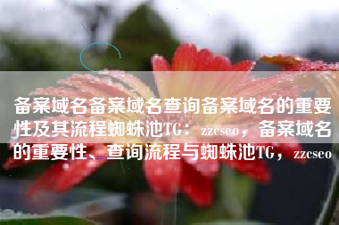 备案域名备案域名查询备案域名的重要性及其流程蜘蛛池TG：zzcseo，备案域名的重要性、查询流程与蜘蛛池TG，zzcseo