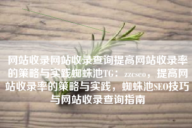 网站收录网站收录查询提高网站收录率的策略与实践蜘蛛池TG：zzcseo，提高网站收录率的策略与实践，蜘蛛池SEO技巧与网站收录查询指南