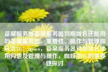 备案服务器备案服务器到期域名还能用吗备案服务器，重要性、操作与管理蜘蛛池TG：zzcseo，备案服务器到期域名使用问题及管理与操作，蜘蛛池TG的重要性探讨