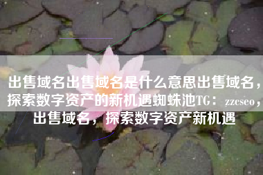 出售域名出售域名是什么意思出售域名，探索数字资产的新机遇蜘蛛池TG：zzcseo，出售域名，探索数字资产新机遇