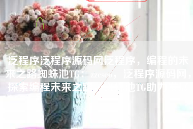 泛程序泛程序源码网泛程序，编程的未来之路蜘蛛池TG：zzcseo，泛程序源码网，探索编程未来之路，蜘蛛池TG助力发展