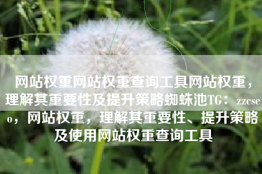 网站权重网站权重查询工具网站权重，理解其重要性及提升策略蜘蛛池TG：zzcseo，网站权重，理解其重要性、提升策略及使用网站权重查询工具