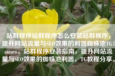 站群程序站群程序怎么安装站群程序，提升网站流量与SEO效果的利器蜘蛛池TG：zzcseo，站群程序安装指南，提升网站流量与SEO效果的蜘蛛池利器，TG教程分享。