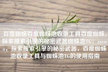 百度蜘蛛百度蜘蛛池收录工具百度蜘蛛，探索搜索引擎的秘密武器蜘蛛池TG：zzcseo，探索搜索引擎的秘密武器，百度蜘蛛池收录工具与蜘蛛池TG的使用指南