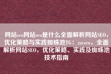 网站seo网站seo是什么全面解析网站SEO，优化策略与实践蜘蛛池TG：zzcseo，全面解析网站SEO，优化策略、实践及蜘蛛池技术指南