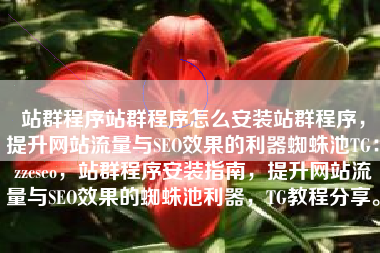 站群程序站群程序怎么安装站群程序，提升网站流量与SEO效果的利器蜘蛛池TG：zzcseo，站群程序安装指南，提升网站流量与SEO效果的蜘蛛池利器，TG教程分享。