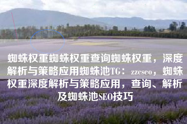 蜘蛛权重蜘蛛权重查询蜘蛛权重，深度解析与策略应用蜘蛛池TG：zzcseo，蜘蛛权重深度解析与策略应用，查询、解析及蜘蛛池SEO技巧