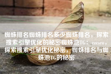 蜘蛛排名蜘蛛排名多少蜘蛛排名，探索搜索引擎优化的秘密蜘蛛池TG：zzcseo，探索搜索引擎优化秘密，蜘蛛排名与蜘蛛池TG的秘密