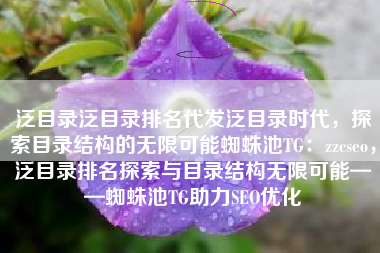 泛目录泛目录排名代发泛目录时代，探索目录结构的无限可能蜘蛛池TG：zzcseo，泛目录排名探索与目录结构无限可能——蜘蛛池TG助力SEO优化