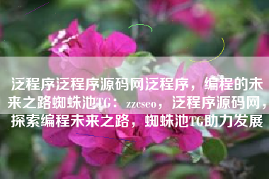 泛程序泛程序源码网泛程序，编程的未来之路蜘蛛池TG：zzcseo，泛程序源码网，探索编程未来之路，蜘蛛池TG助力发展