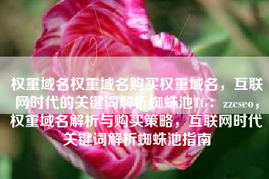 权重域名权重域名购买权重域名，互联网时代的关键词解析蜘蛛池TG：zzcseo，权重域名解析与购买策略，互联网时代关键词解析蜘蛛池指南