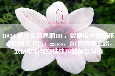 IDCidc是什么意思啊IDC，数据中心的未来之路蜘蛛池TG：zzcseo，IDC的未来之路，数据中心与蜘蛛池TG的角色解读