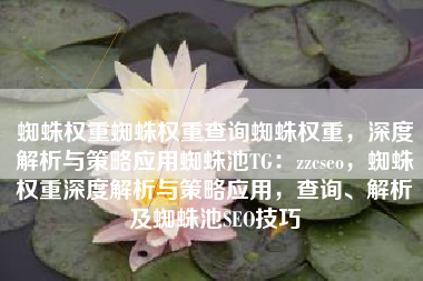 蜘蛛权重蜘蛛权重查询蜘蛛权重，深度解析与策略应用蜘蛛池TG：zzcseo，蜘蛛权重深度解析与策略应用，查询、解析及蜘蛛池SEO技巧
