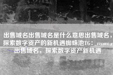 出售域名出售域名是什么意思出售域名，探索数字资产的新机遇蜘蛛池TG：zzcseo，出售域名，探索数字资产新机遇