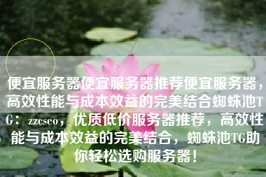 便宜服务器便宜服务器推荐便宜服务器，高效性能与成本效益的完美结合蜘蛛池TG：zzcseo，优质低价服务器推荐，高效性能与成本效益的完美结合，蜘蛛池TG助你轻松选购服务器！