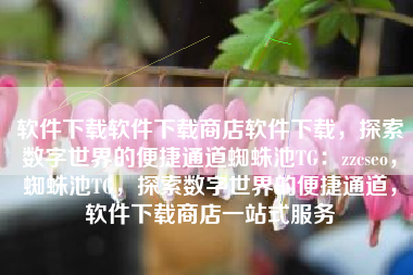 软件下载软件下载商店软件下载，探索数字世界的便捷通道蜘蛛池TG：zzcseo，蜘蛛池TG，探索数字世界的便捷通道，软件下载商店一站式服务