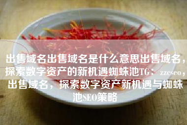 出售域名出售域名是什么意思出售域名，探索数字资产的新机遇蜘蛛池TG：zzcseo，出售域名，探索数字资产新机遇与蜘蛛池SEO策略